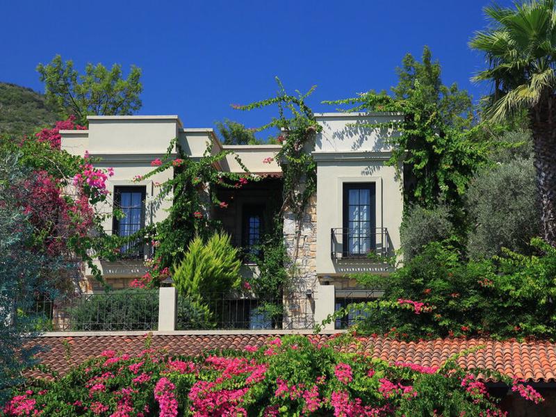 BE37E373B423E85BE9621D8E77319B52