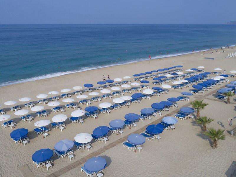 C5DDE758C963155346AC8C99C394E1F4