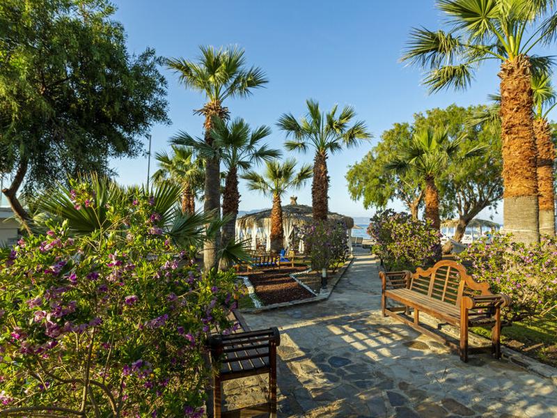 B5749EF3F22489F8BDE0F26433AA9FD6