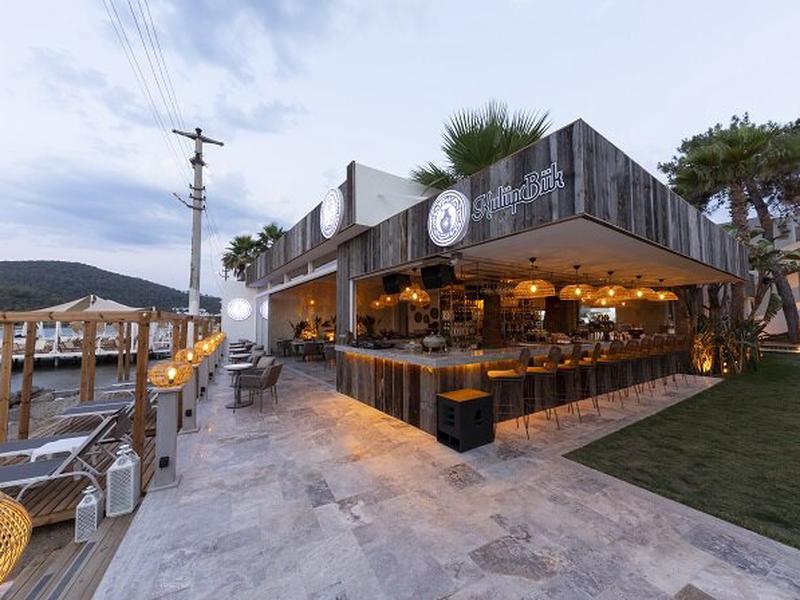 1A57D0AC69DFF75F3B073368B836FB11