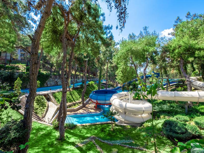 B0CC943292F6942FC1F5E4AE7BCE9796