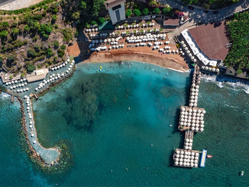 9B01C4DEB266AA448E2A5E1779D5567D