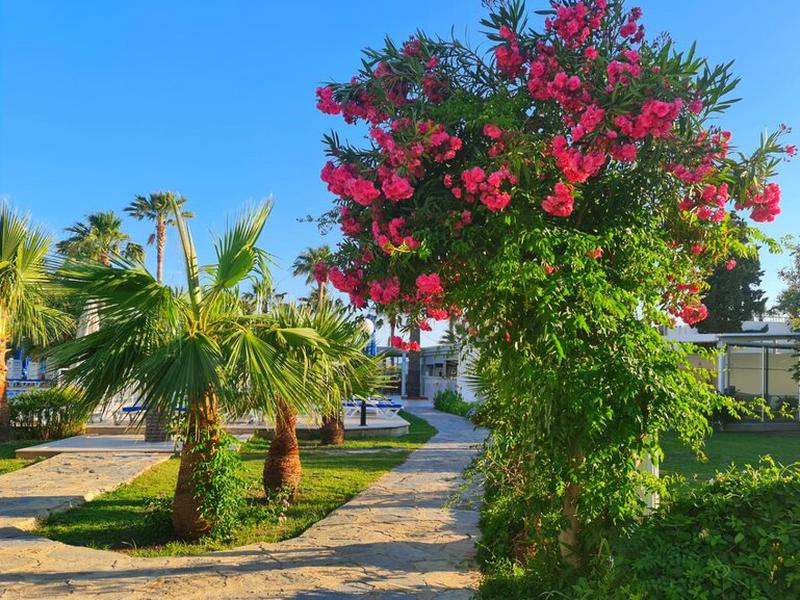 A24A2BE1BFF4AE809E427526B2E9D0E6