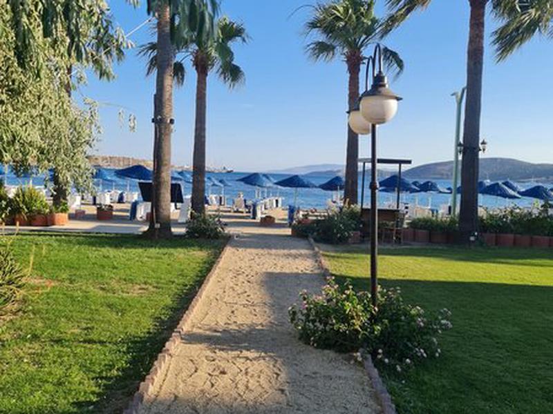 262761ED05D4B0903D7EF8066DE8FE88