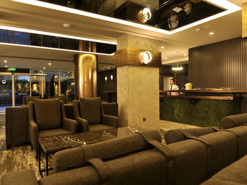 848E619502C82AA8577C381C4479624D