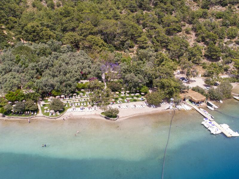 D961E2A88B0C0A772288AF7B58D0CCF6