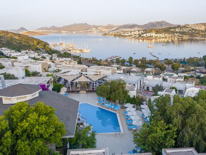 230802112F81E2E368939E4B724BDF74