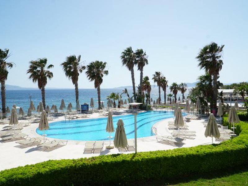 CC773E7BA2447B097E9E4BAD958D6633