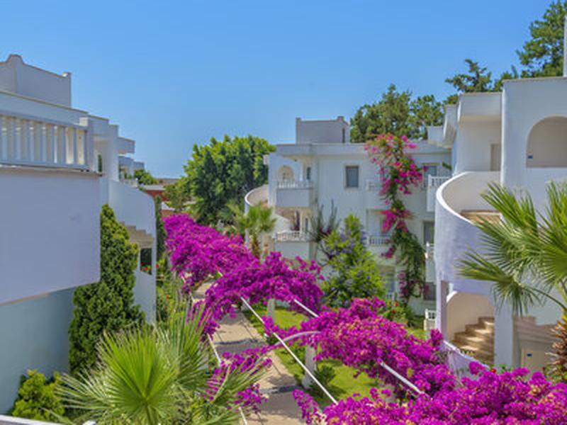 40B98B5D70D3D3A3F4BA750A4C55184C