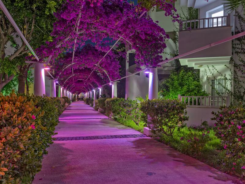 04D04CDE49F15BCB995B267026DA9AA3