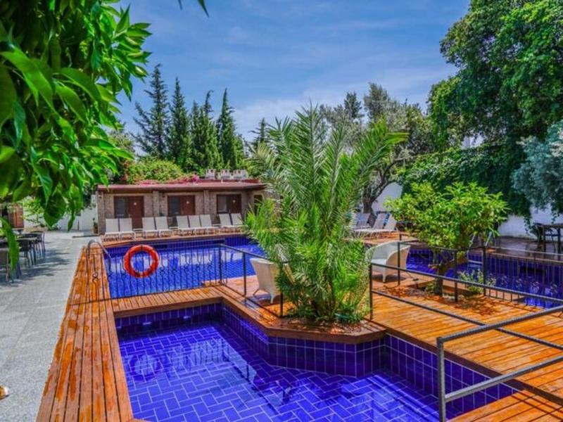 079EE758DF908A3AE83BD734A4F62808