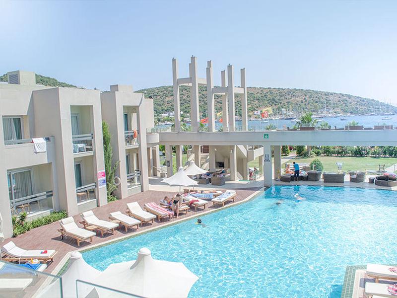 B50E863EE05407A7491984B12916156A