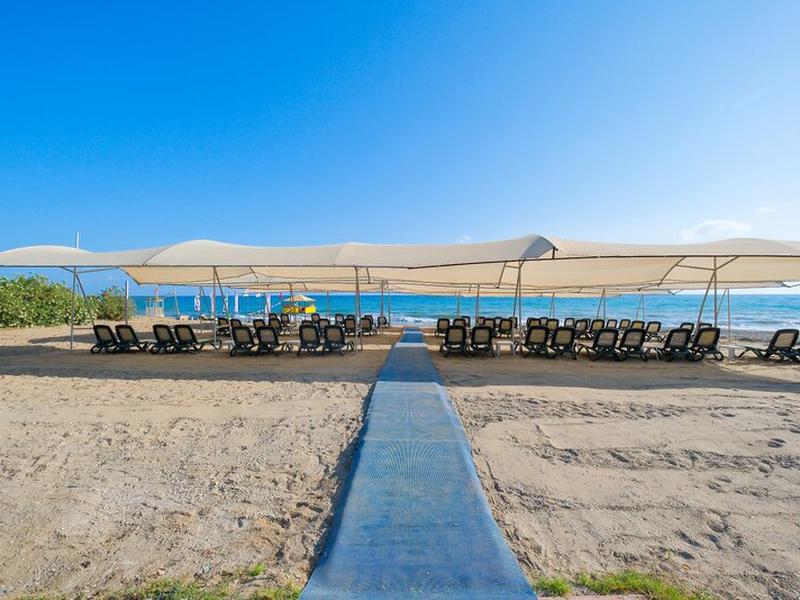 D4AC86E42565A2387C07EBE100AFB3E9