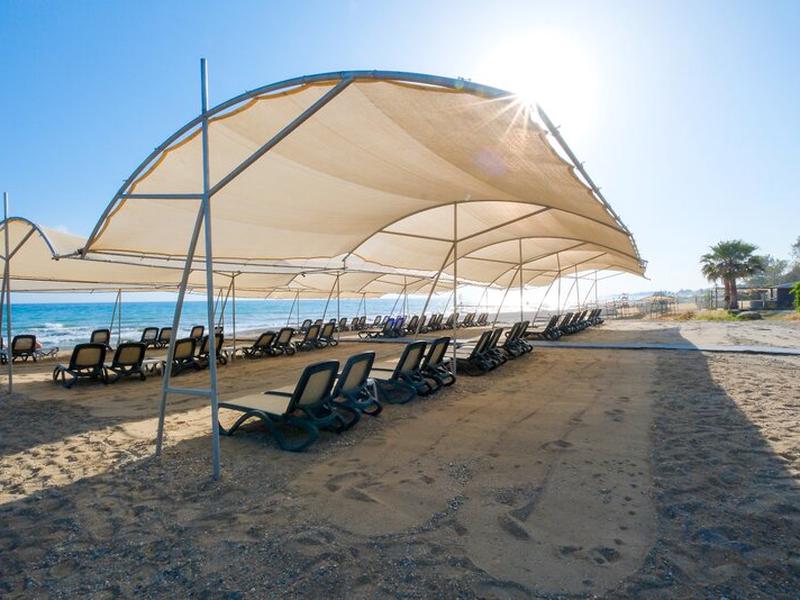 8F1196B2CF7B6D8F5EDF57802C82E1C4