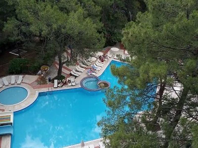 35320203E88DBAAA07E63C9F170358B8