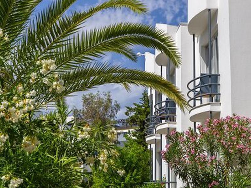 826B163F2757AF35DFFABB312FE3A11B