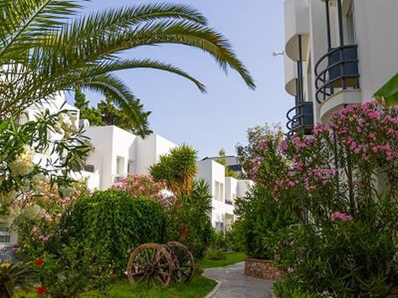 92AFD95D485554553C6164458B4BD21E