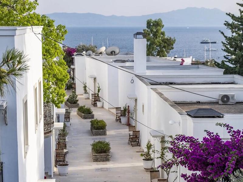 768DDDE14A90AADC22F48F375ECD1E43