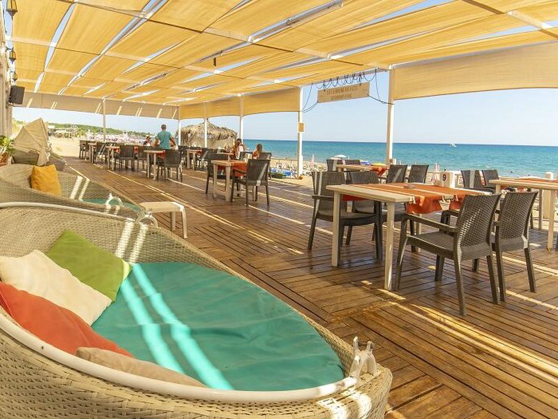 FA7735D2A860525F340FB7BF593F7AF7