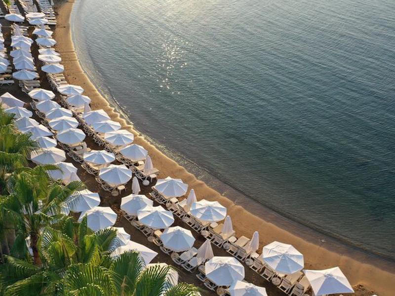 C8C080B43FD8C67942365F7C6B26A48C