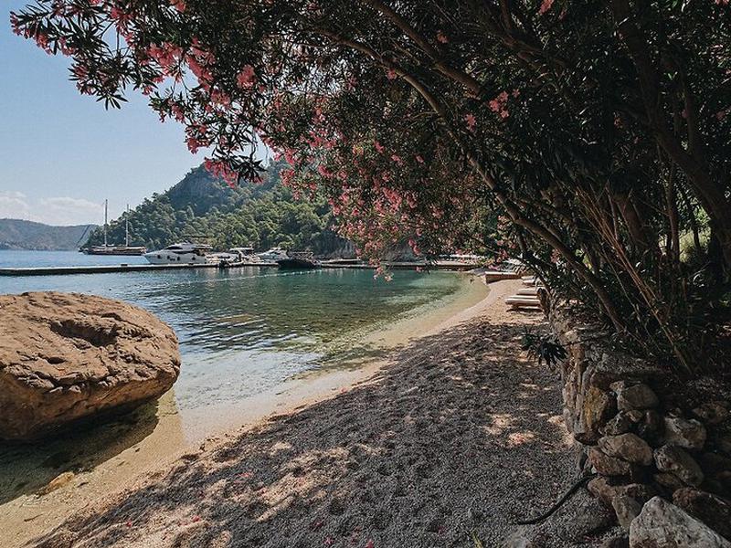 D1108B79F566C38A8D0CF88FA887D4AD