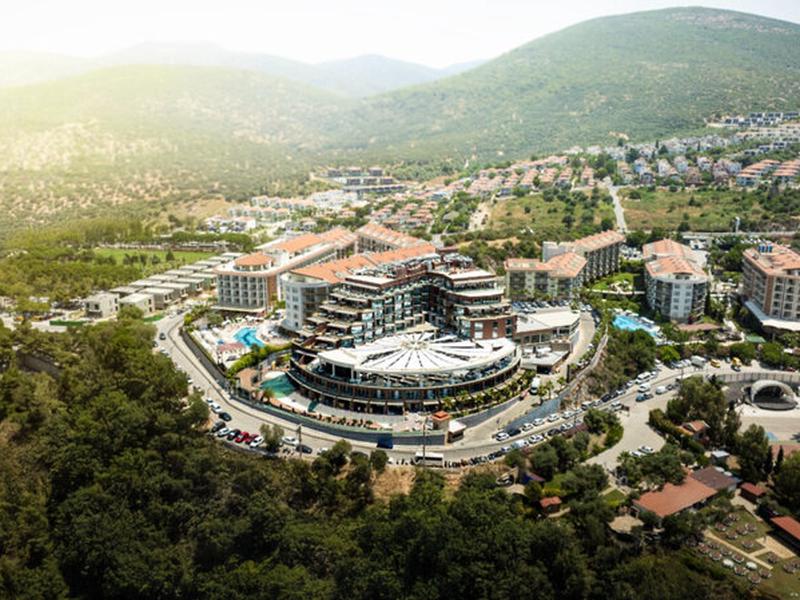 E49C63335011412AED892A7B38A2A768