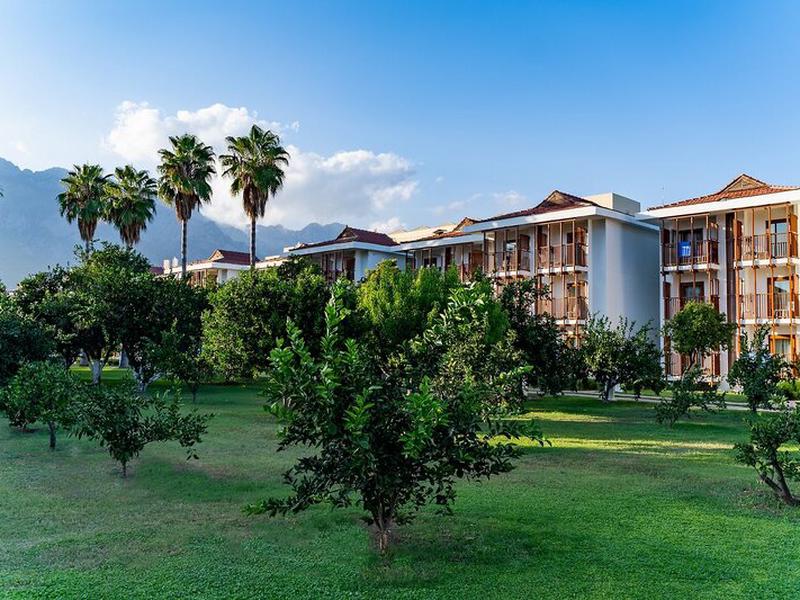 378F17564DCD6F942D90F3CF2CB0E15B