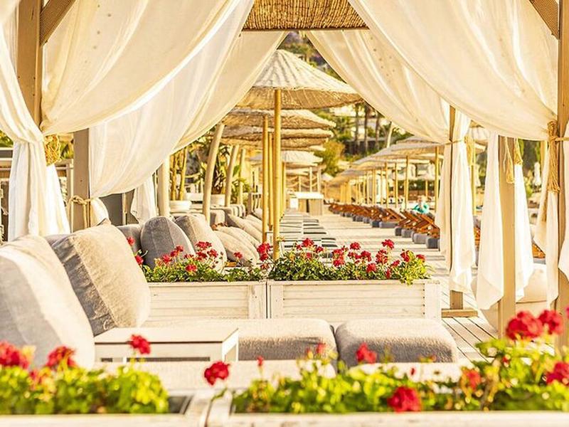 3C8450F0922FE552E13C7ABAC73303DE