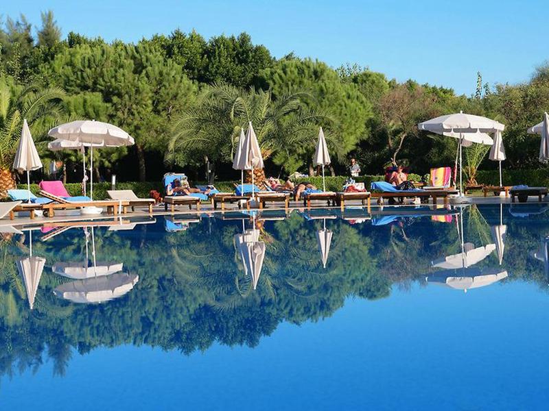 45EC0DFE35EFA029A2F6E27EBBFB0380