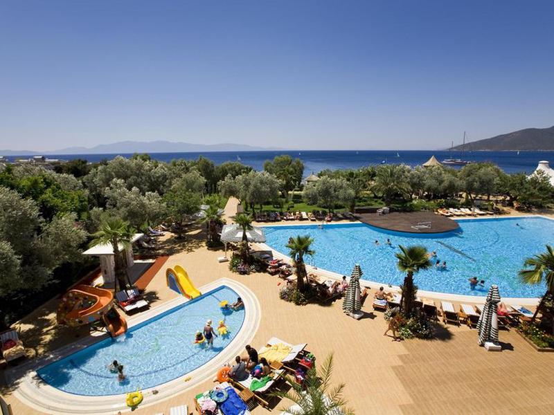 2F97B92F62C5EF76B13FB0AC1C0DE5C0