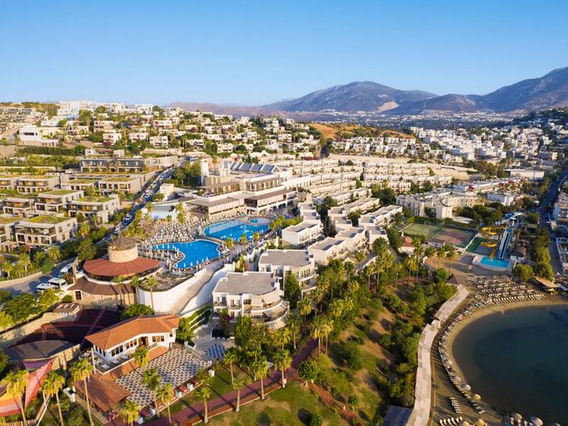 674788C6636853C28466A99C7A0BF127