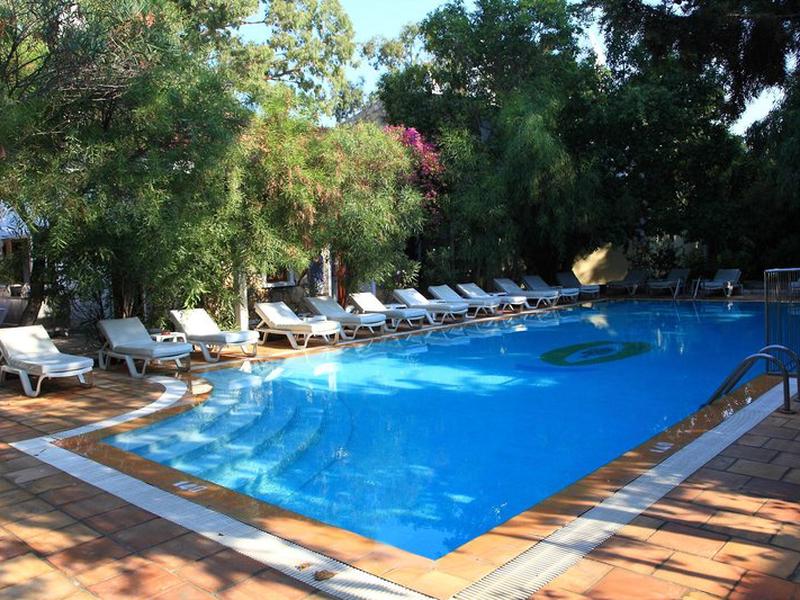 50BE63C298C1E93DDA30B3CF56876B06