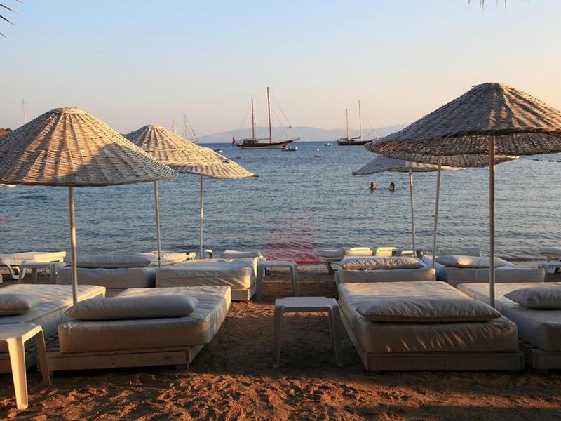 686BF8293377569C91782CBBE650FDE5