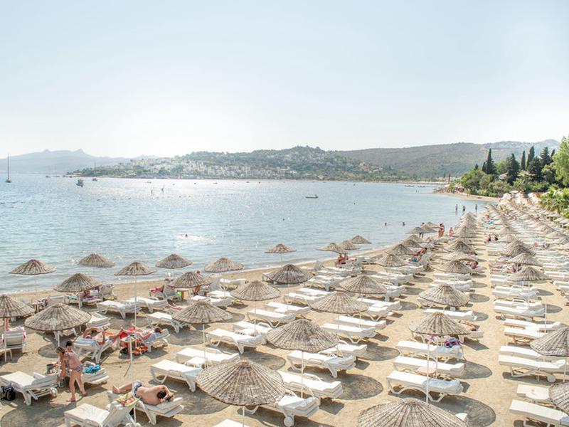 40733EE2B7D4D6076332091066440CC5