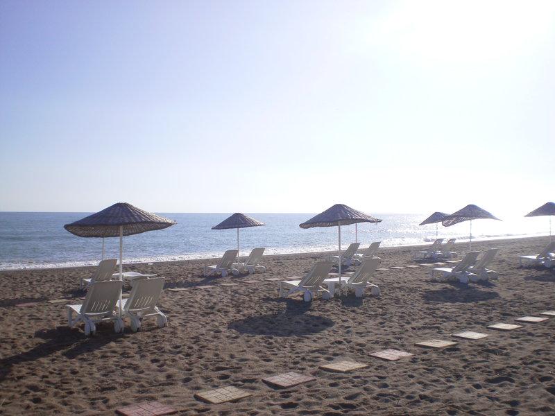 88A2A1B6F6A2FDDA9A10433FECA26ED6