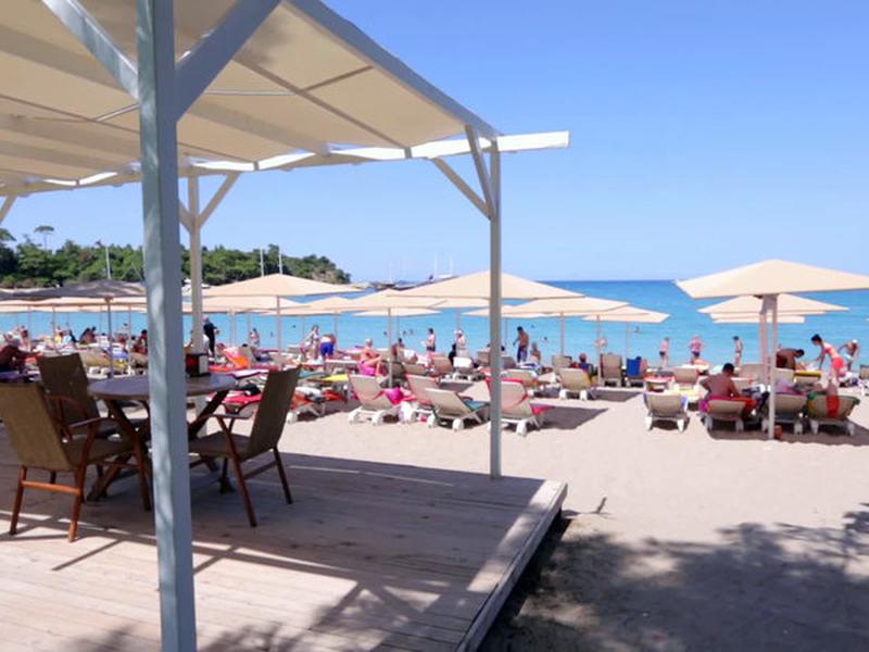 A3196E7C54EA6AFD68F1FA95045642B5