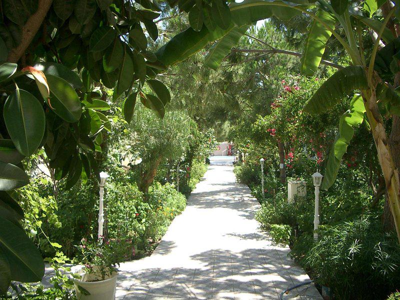 F230C5ADE10BA87EDDD35644D3F0C807