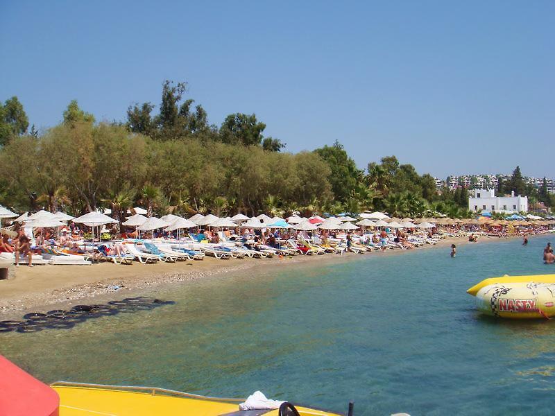 B2A23862640D8CAA19AB5CFA6177F9CB