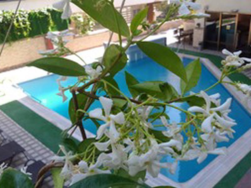 D8A4A750F452559021650924163FE6A0