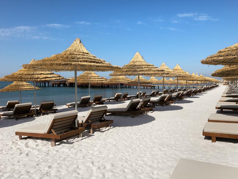 AE1C61103C5EBD07F9C55AA107B3F9D2