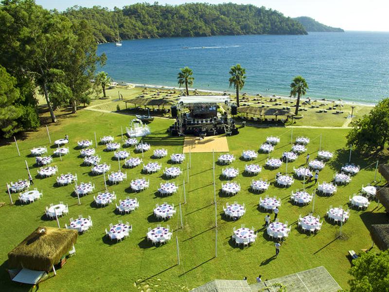 A566A7CA2CA017772E8A359CB858417D