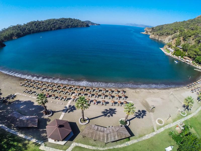 6EEC7ABD21CB5A8CC2ED7A03ED012352