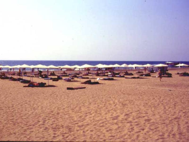 0063667578A50DF35B232D6FAE98C6A5