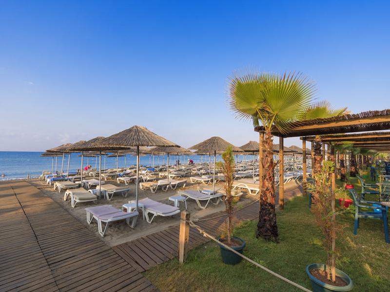 71B7FF3C849B4EAA50131900ACDB76D9