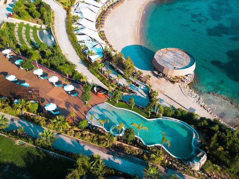 ED6E37C37DC7635435DCC645C487DB41