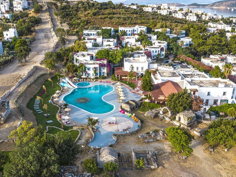 212DAB449E27EA1D2DFE1CDCD31AE1CE