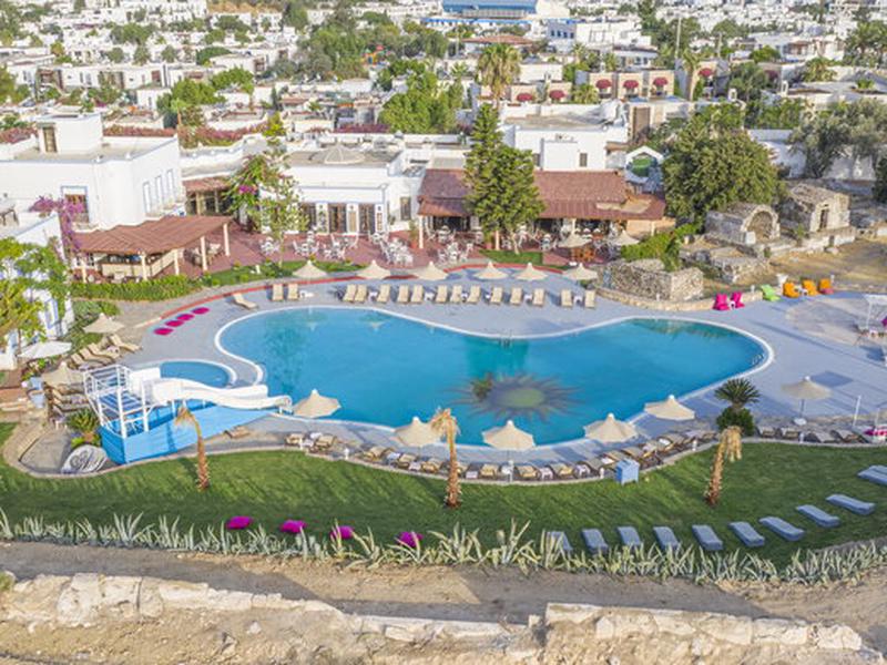 FC223A73BBF4C39D77458C4AB8D1C345