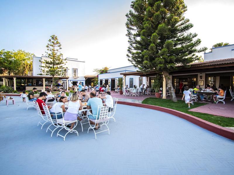 52685A1C45FD2C6A35A76FFBE15CAEA0