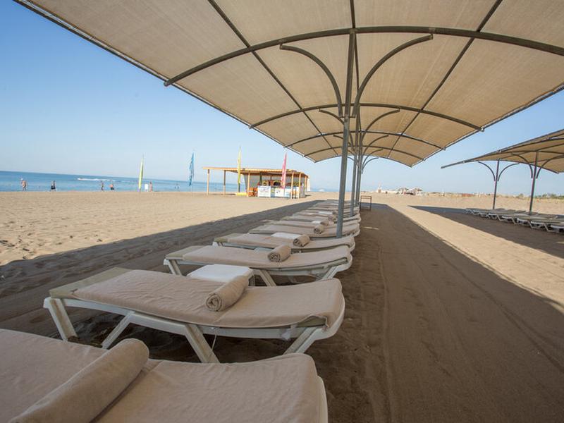 0C5883CE53541D26DB32F581FE630096