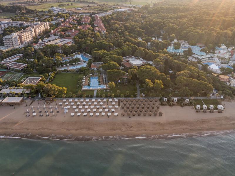 D764976393501D8114DCF6E8D73B4E06